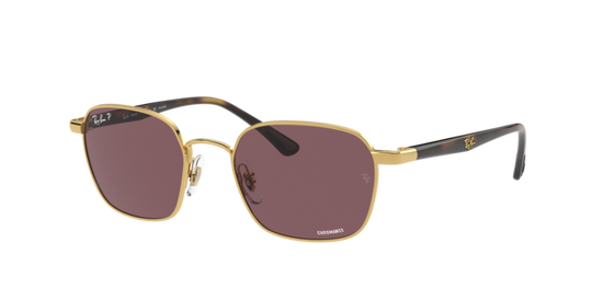 Ray-Ban Sunglasses RB3664CH 001/BC