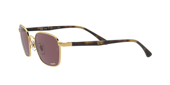 Ray-Ban Sunglasses RB3664CH 001/BC