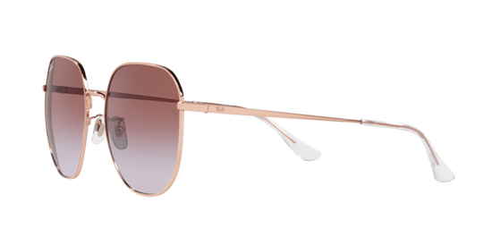 Ray-Ban Sunglasses RB3680D 9202I8