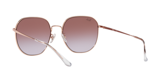 Ray-Ban Sunglasses RB3680D 9202I8