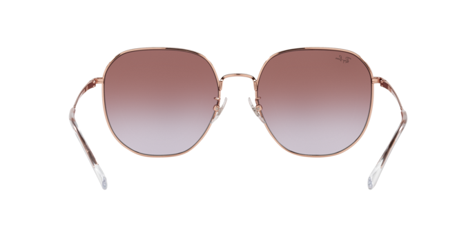 Ray-Ban Sunglasses RB3680D 9202I8