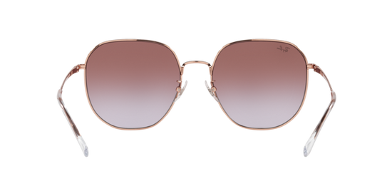 Ray-Ban Sunglasses RB3680D 9202I8