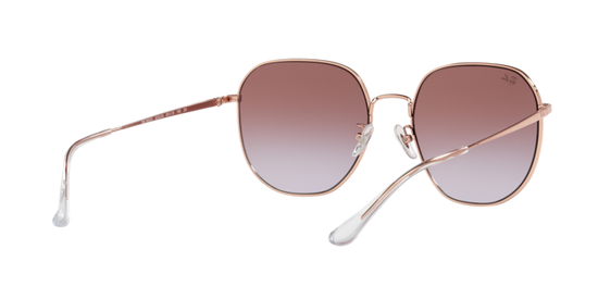 Ray-Ban Sunglasses RB3680D 9202I8