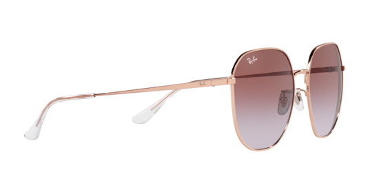 Ray-Ban Sunglasses RB3680D 9202I8