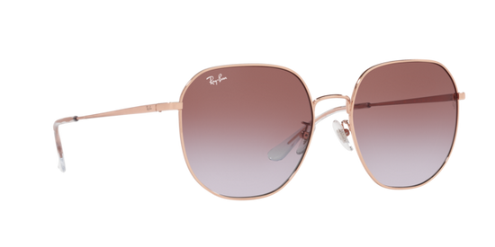 Ray-Ban Sunglasses RB3680D 9202I8