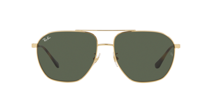 Ray-Ban Sunglasses RB3692D 001/71