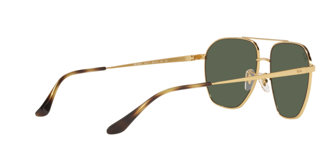 Ray-Ban Sunglasses RB3692D 001/71
