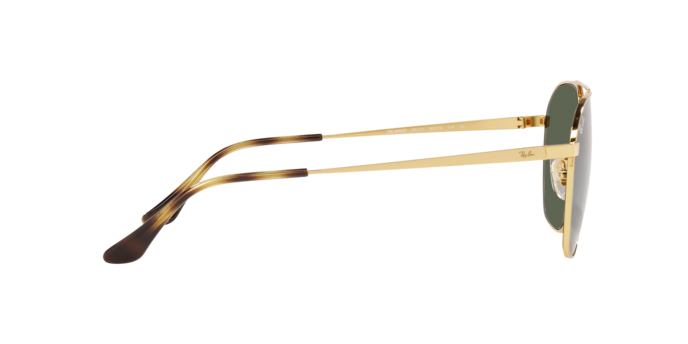 Ray-Ban Sunglasses RB3692D 001/71