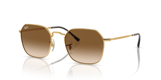 Ray-Ban Jim Sunglasses RB3694 001/51