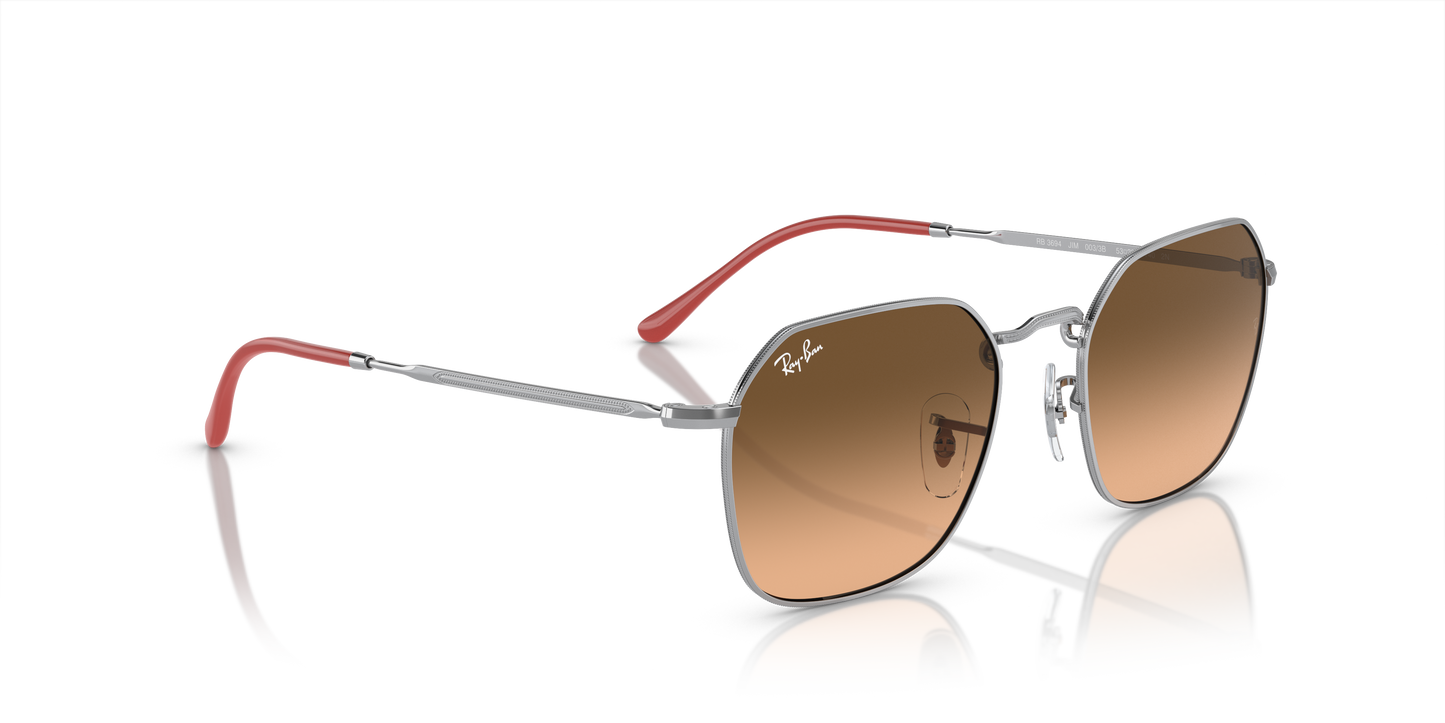 Ray-Ban Jim Sunglasses RB3694 003/3B