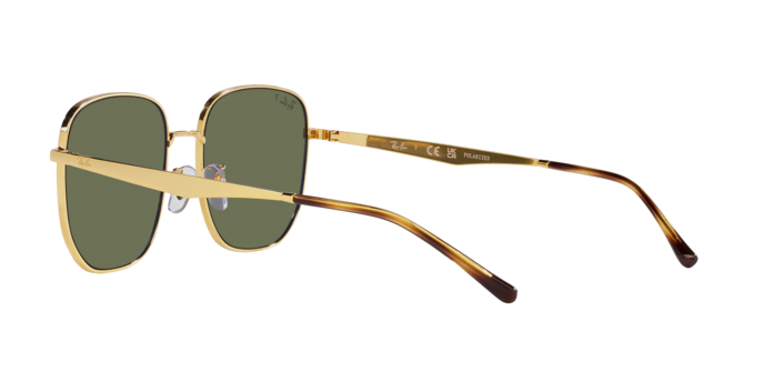 Ray-Ban Sunglasses RB3713D 001/9A