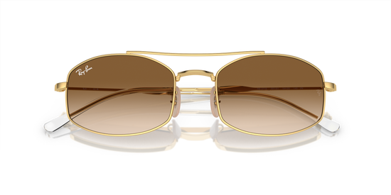 Ray-Ban Sunglasses RB3719 001/51