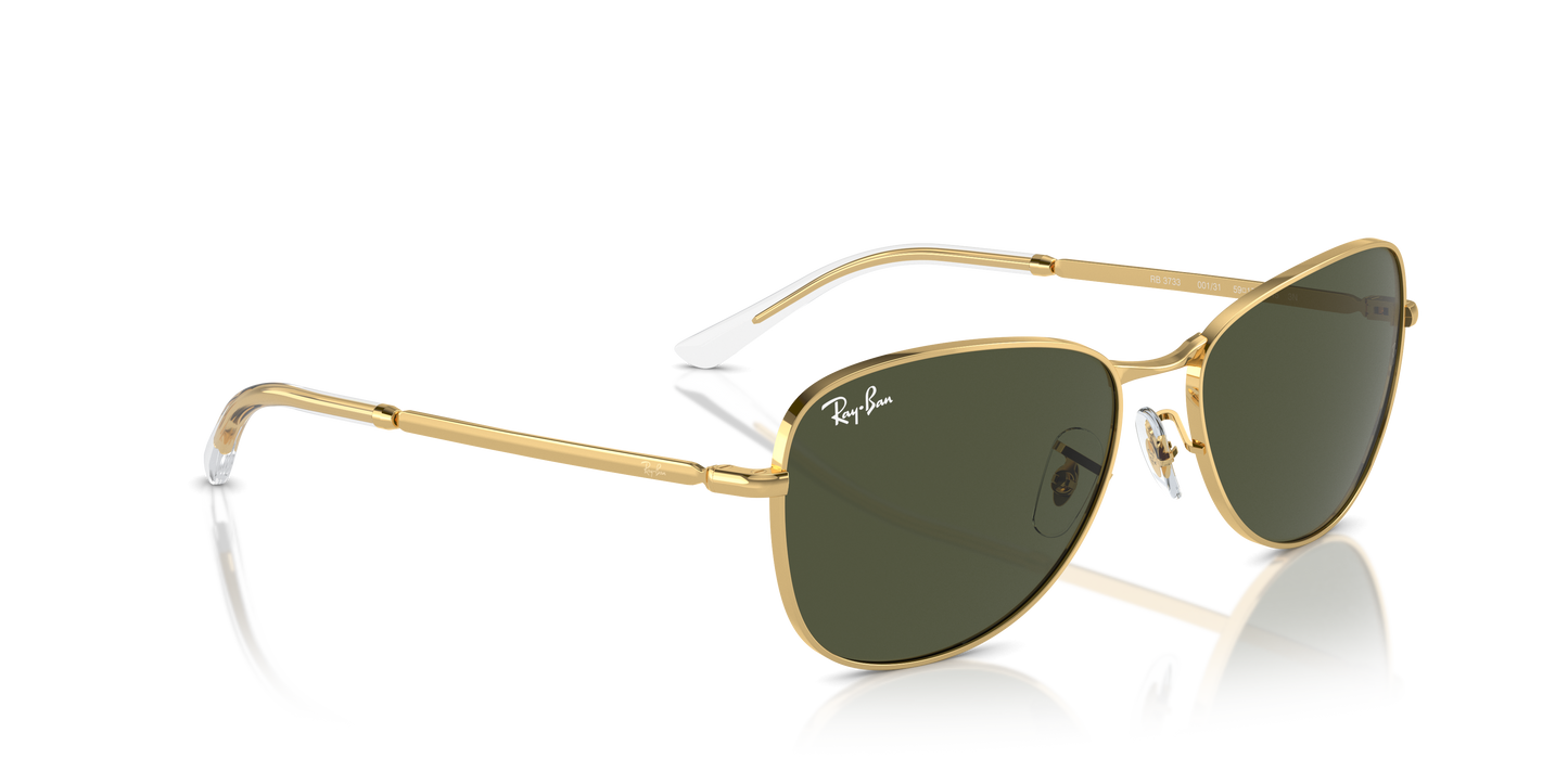 Ray-Ban Sunglasses RB3733 001/31