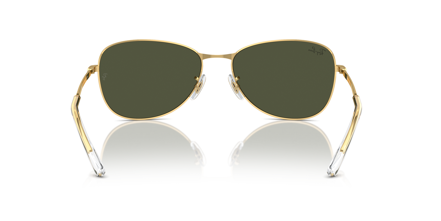 Ray-Ban Sunglasses RB3733 001/31