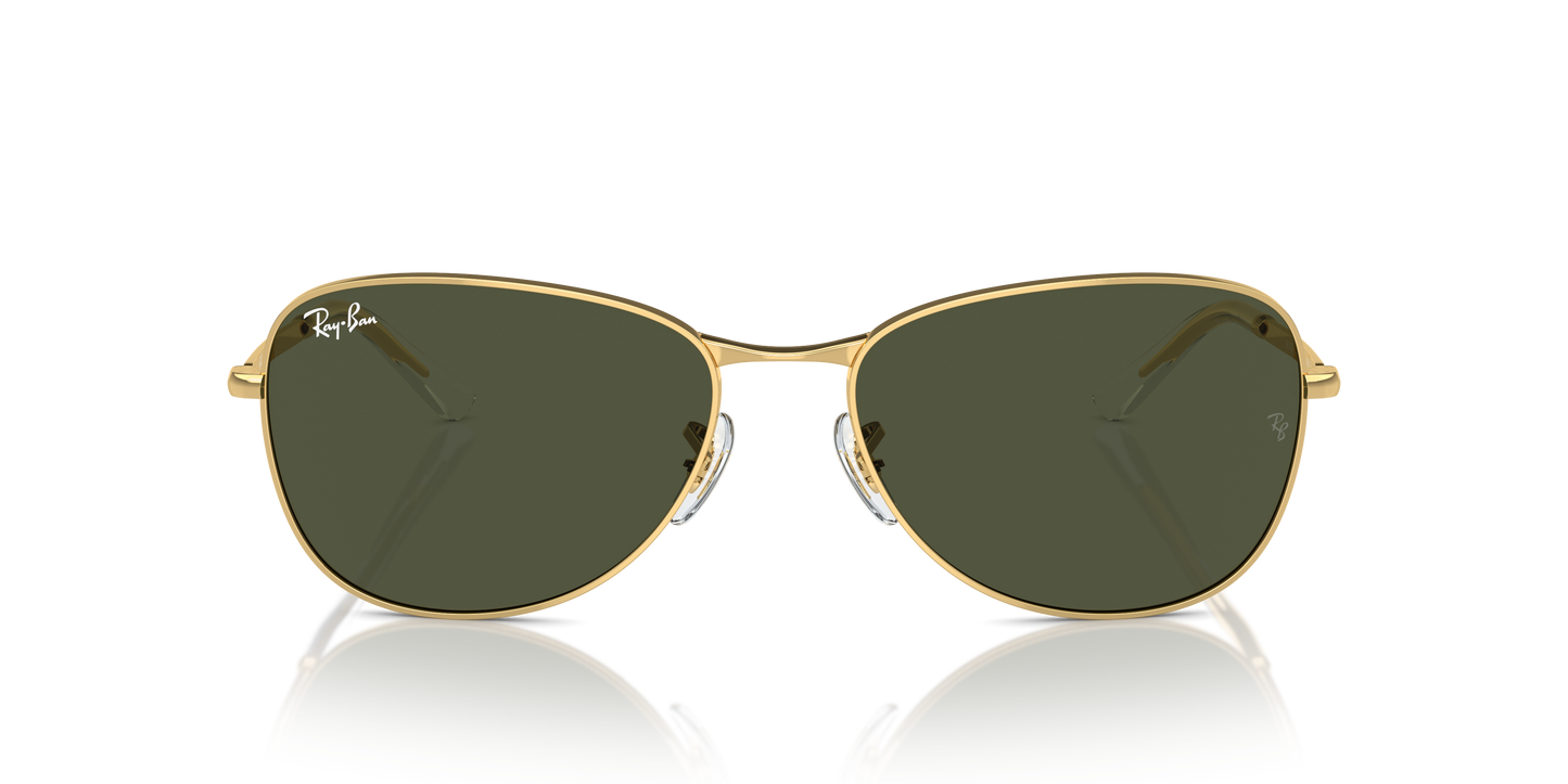 Ray-Ban Sunglasses RB3733 001/31