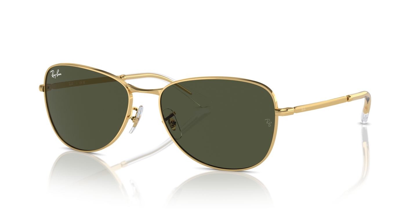 Ray-Ban Sunglasses RB3733 001/31