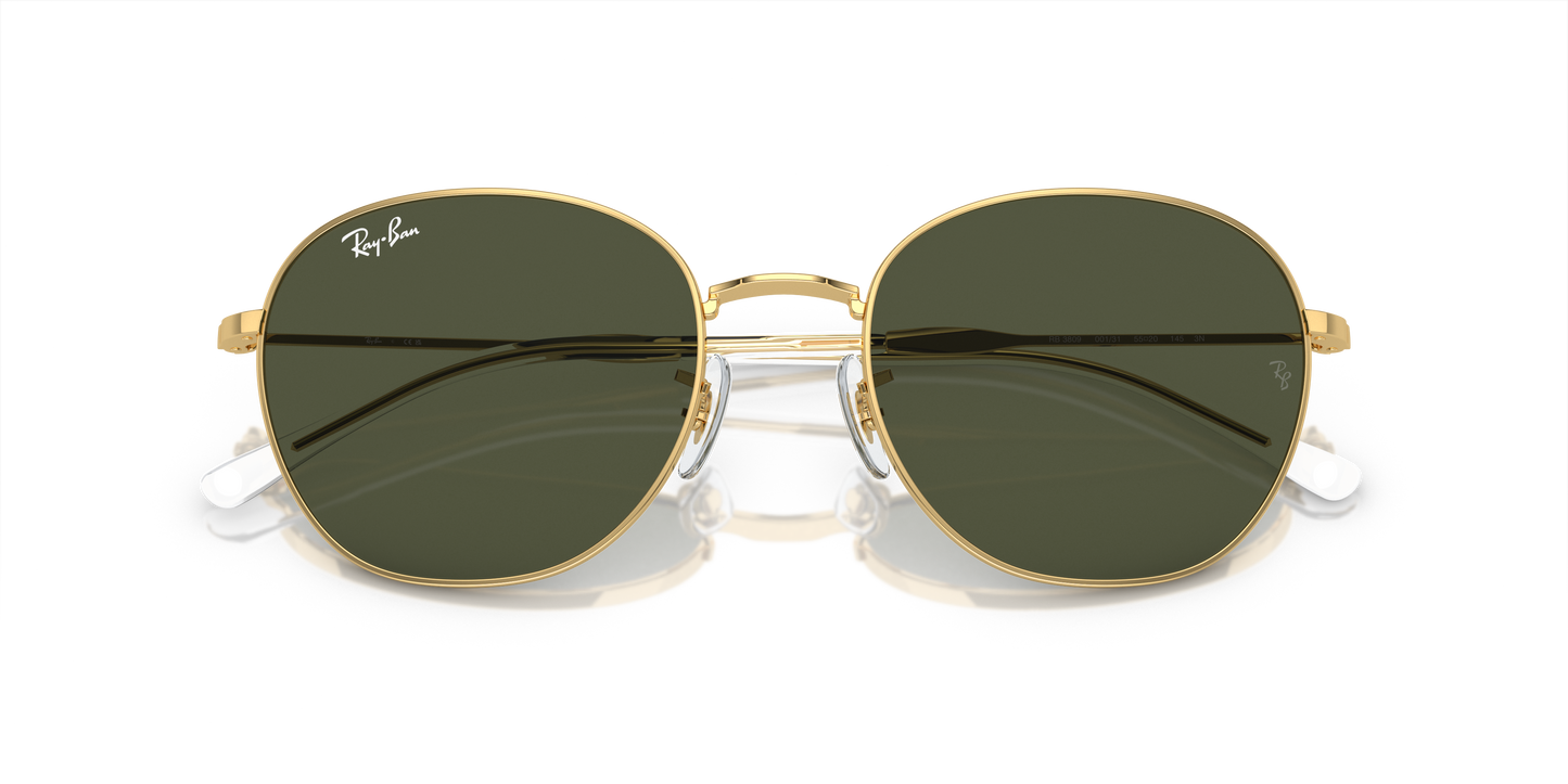 Ray-Ban Sunglasses RB3809 001/31