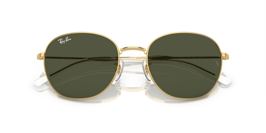 Ray-Ban Sunglasses RB3809 001/31