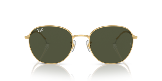 Ray-Ban Sunglasses RB3809 001/31