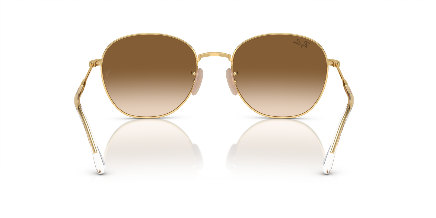 Ray-Ban Sunglasses RB3809 001/51