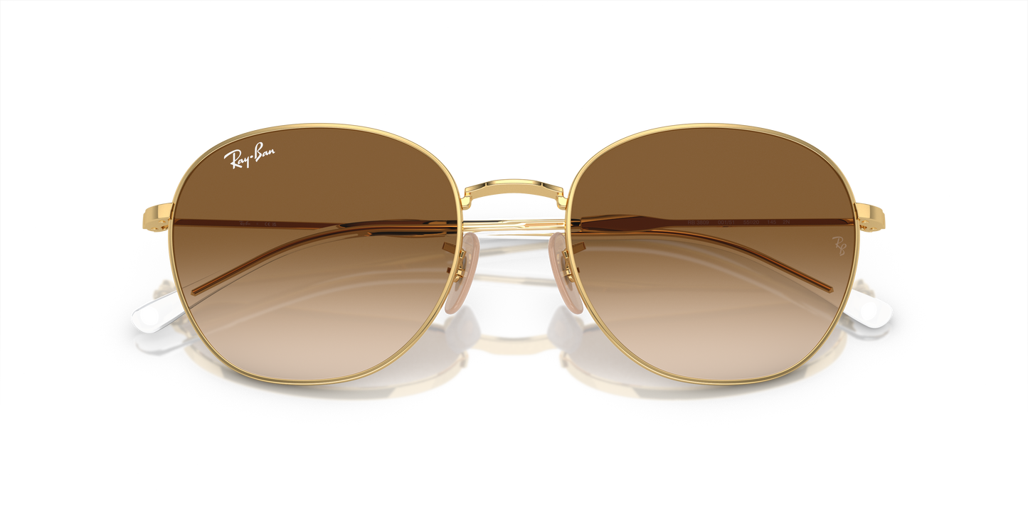 Ray-Ban Sunglasses RB3809 001/51