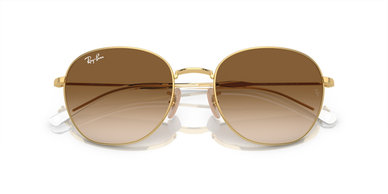 Ray-Ban Sunglasses RB3809 001/51