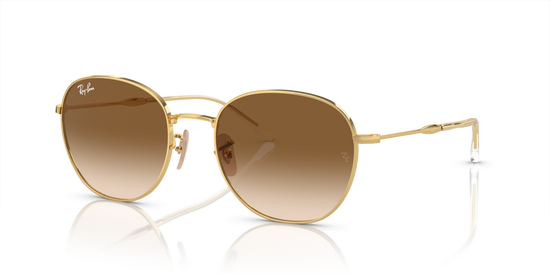 Ray-Ban Sunglasses RB3809 001/51