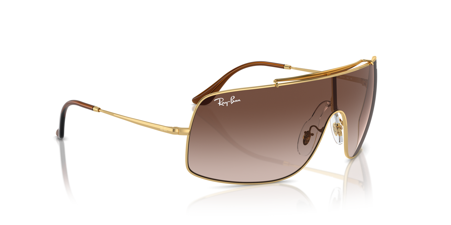 Ray-Ban Wings Iii Sunglasses RB3897 001/13