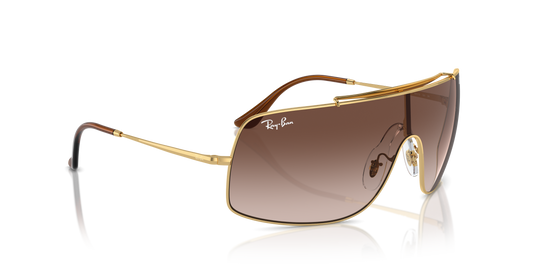 Ray-Ban Wings Iii Sunglasses RB3897 001/13