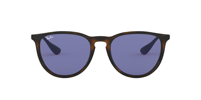 Ray-Ban Erika Sunglasses RB4171 639276