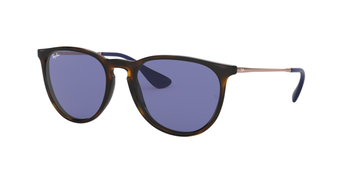 Ray-Ban Erika Sunglasses RB4171 639276