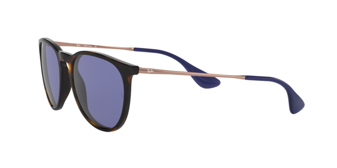 Ray-Ban Erika Sunglasses RB4171 639276