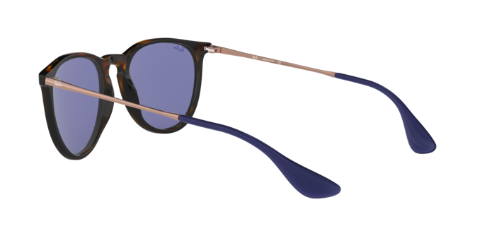 Ray-Ban Erika Sunglasses RB4171 639276
