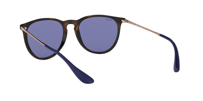 Ray-Ban Erika Sunglasses RB4171 639276