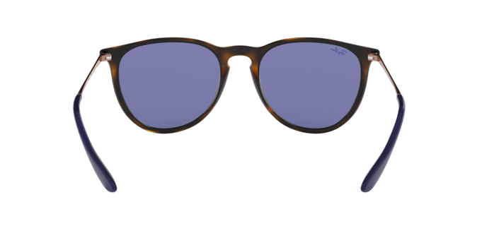 Ray-Ban Erika Sunglasses RB4171 639276