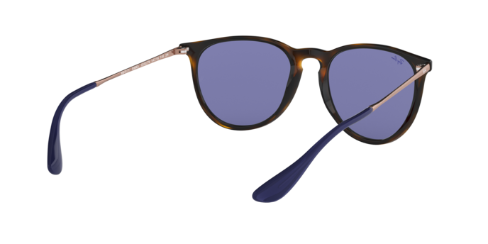 Ray-Ban Erika Sunglasses RB4171 639276