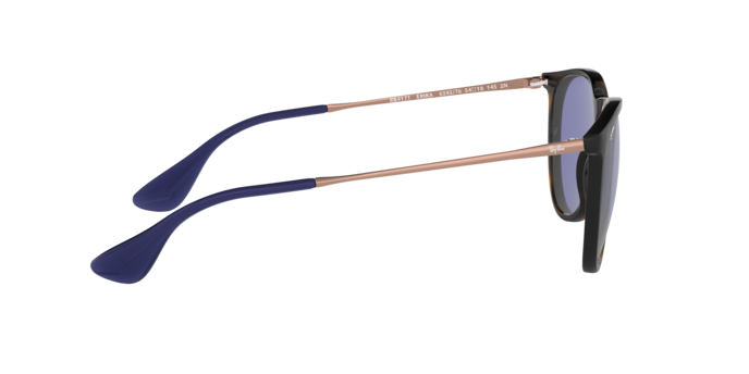 Ray-Ban Erika Sunglasses RB4171 639276