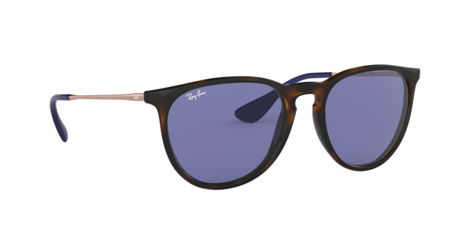 Ray-Ban Erika Sunglasses RB4171 639276