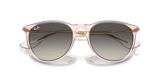 Ray-Ban Erika Sunglasses RB4171 674211