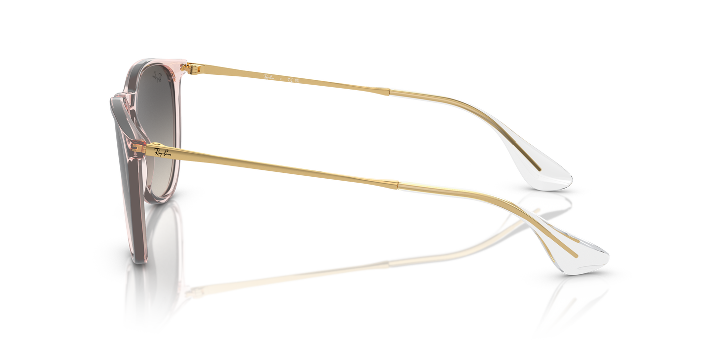 Ray ban erika 2024 holiday