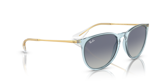 Ray-Ban Erika Sunglasses RB4171 67434L