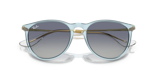 Ray-Ban Erika Sunglasses RB4171 67434L