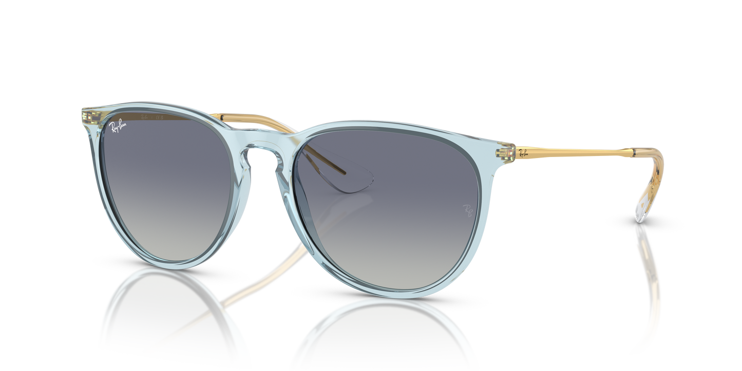 Ray-Ban Erika Sunglasses RB4171 67434L