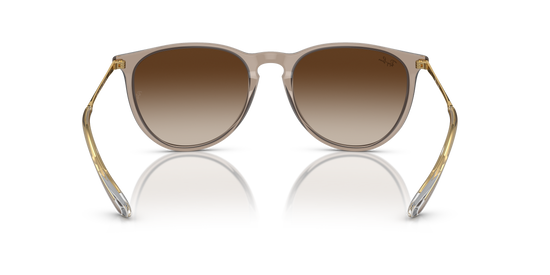 Ray-Ban Erika Sunglasses RB4171 674413