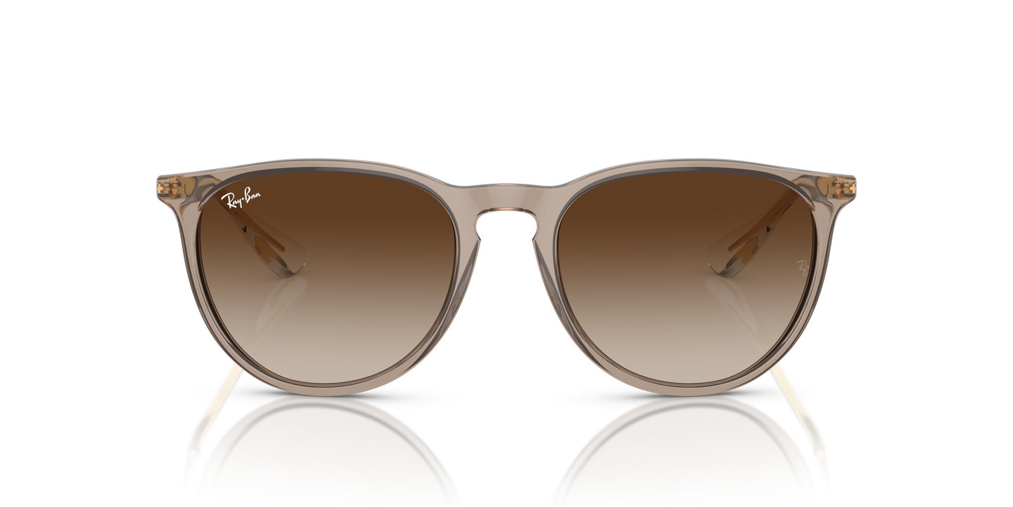 Ray-Ban Erika Sunglasses RB4171 674413