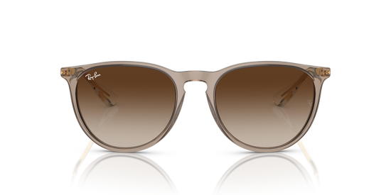 Ray-Ban Erika Sunglasses RB4171 674413