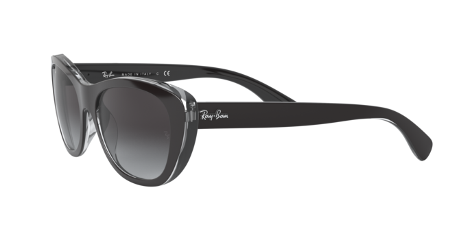 Ray-Ban Sunglasses RB4227 60528G