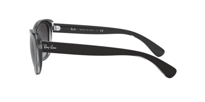 Ray-Ban Sunglasses RB4227 60528G