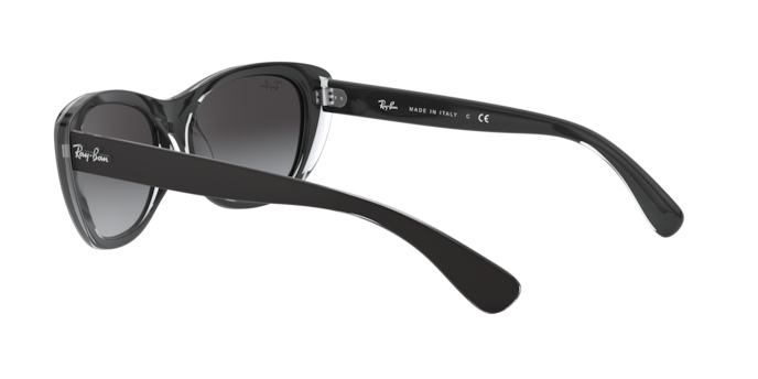 Ray-Ban Sunglasses RB4227 60528G