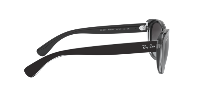 Ray-Ban Sunglasses RB4227 60528G